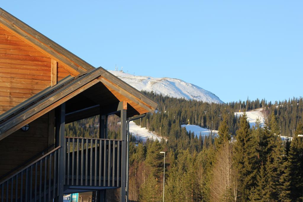Trysilfjellet Leilighetshotell Номер фото